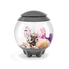 biOrb Aquariums, Kits & Stands .